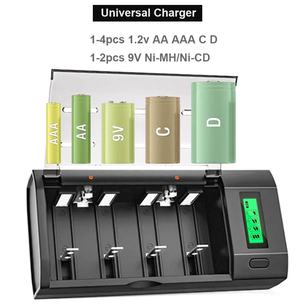Rechargeable D Batteries with Charger C913