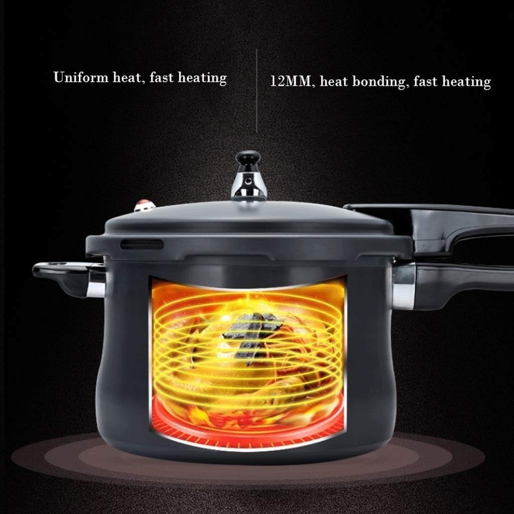 Stainless Steel Dishwasher Safe Cadmium Free Pressure Cooker Black 3L D759