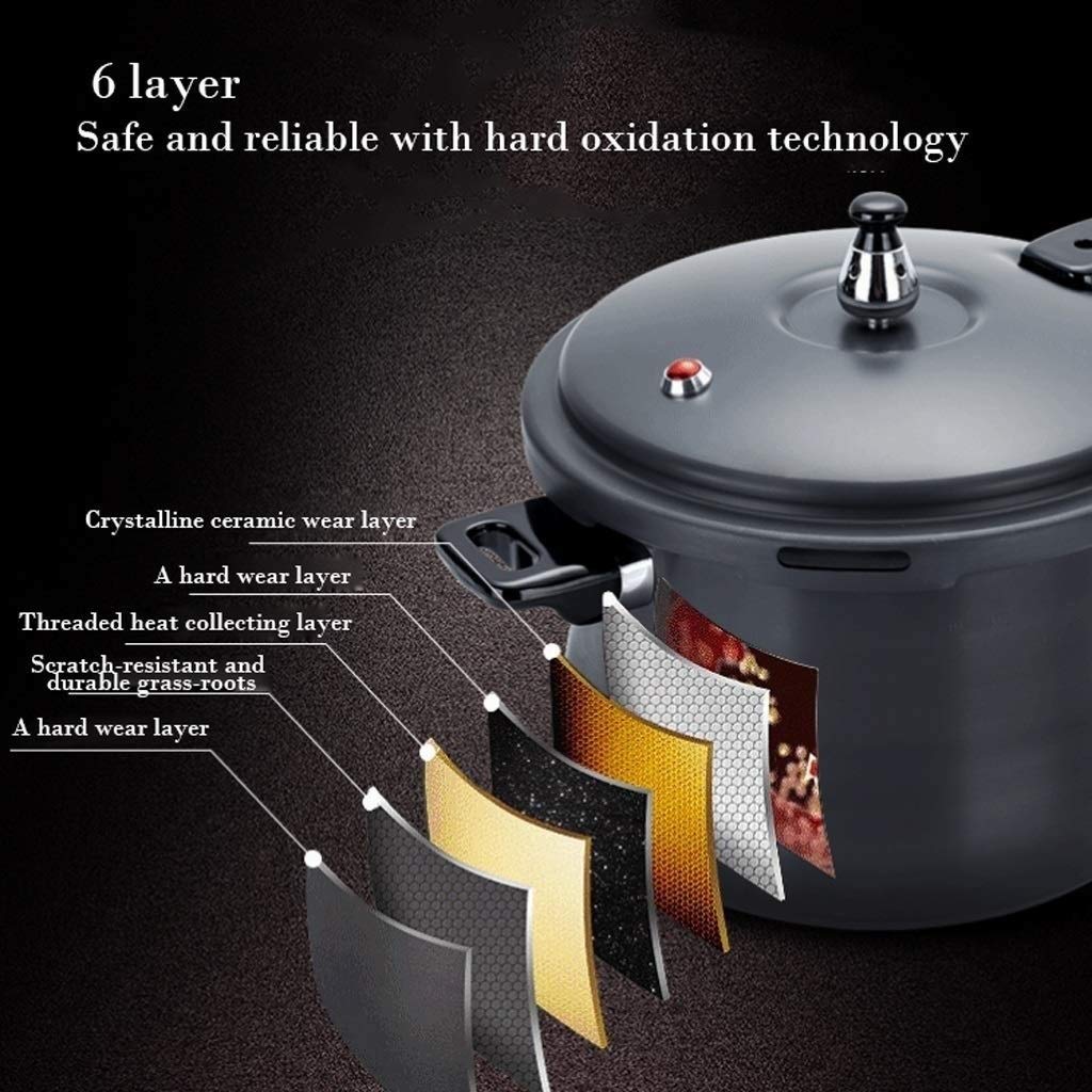 Stainless Steel Dishwasher Safe Cadmium Free Pressure Cooker Black 3L D759