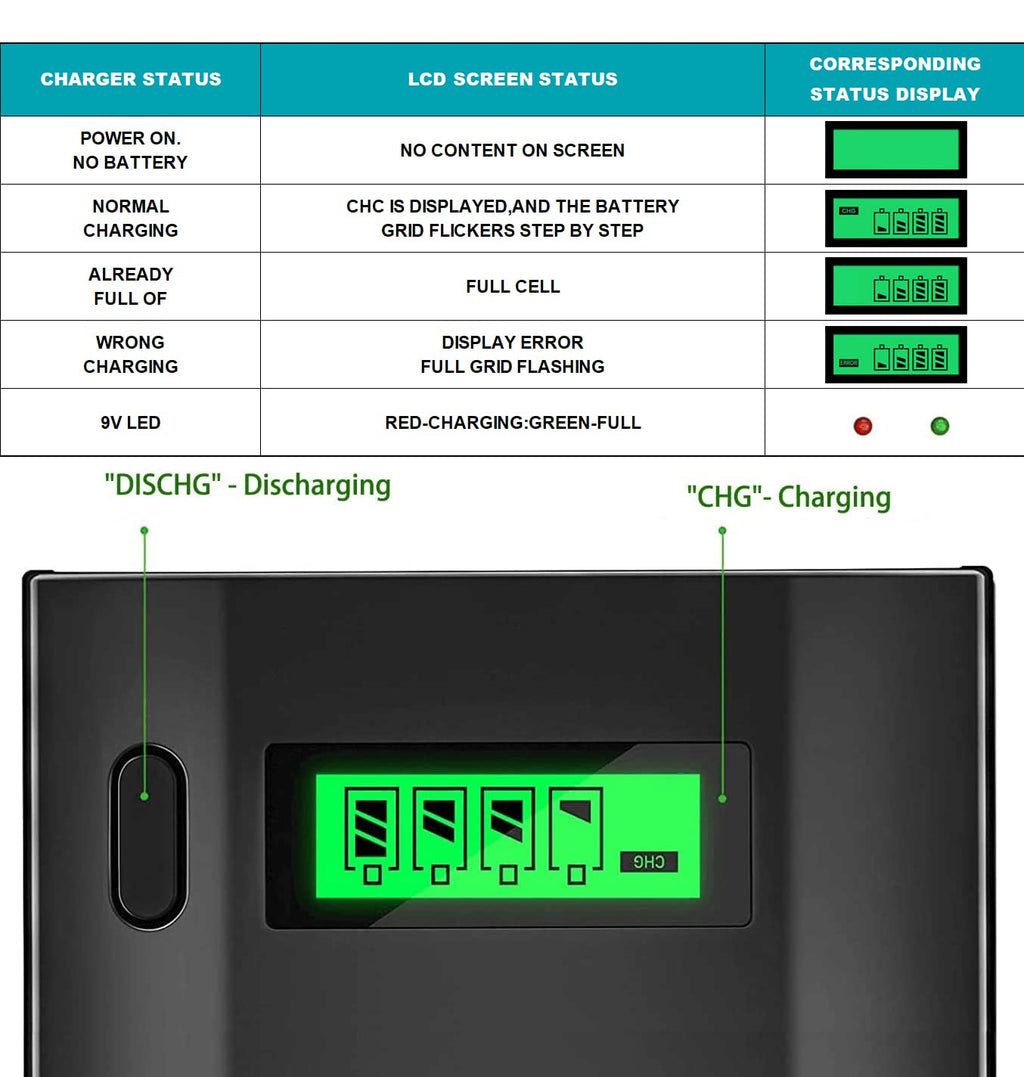 Rechargeable D Batteries with Charger C913