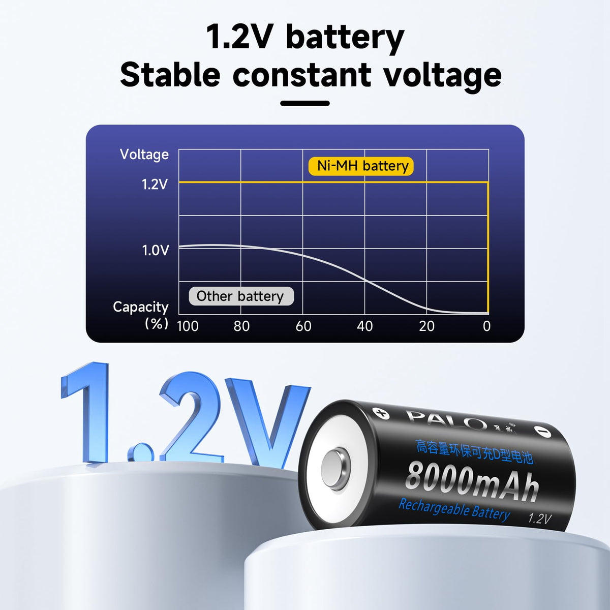 Rechargeable D Batteries with Charger C913