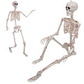 Life Size Posable Skeleton U357718