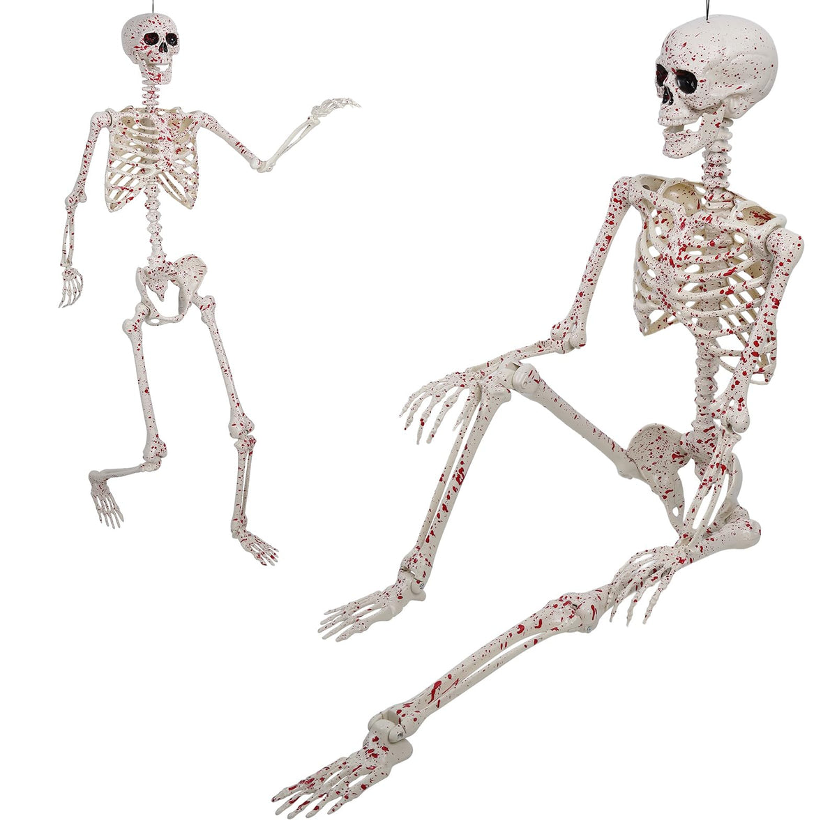 Life Size Posable Skeleton U357718