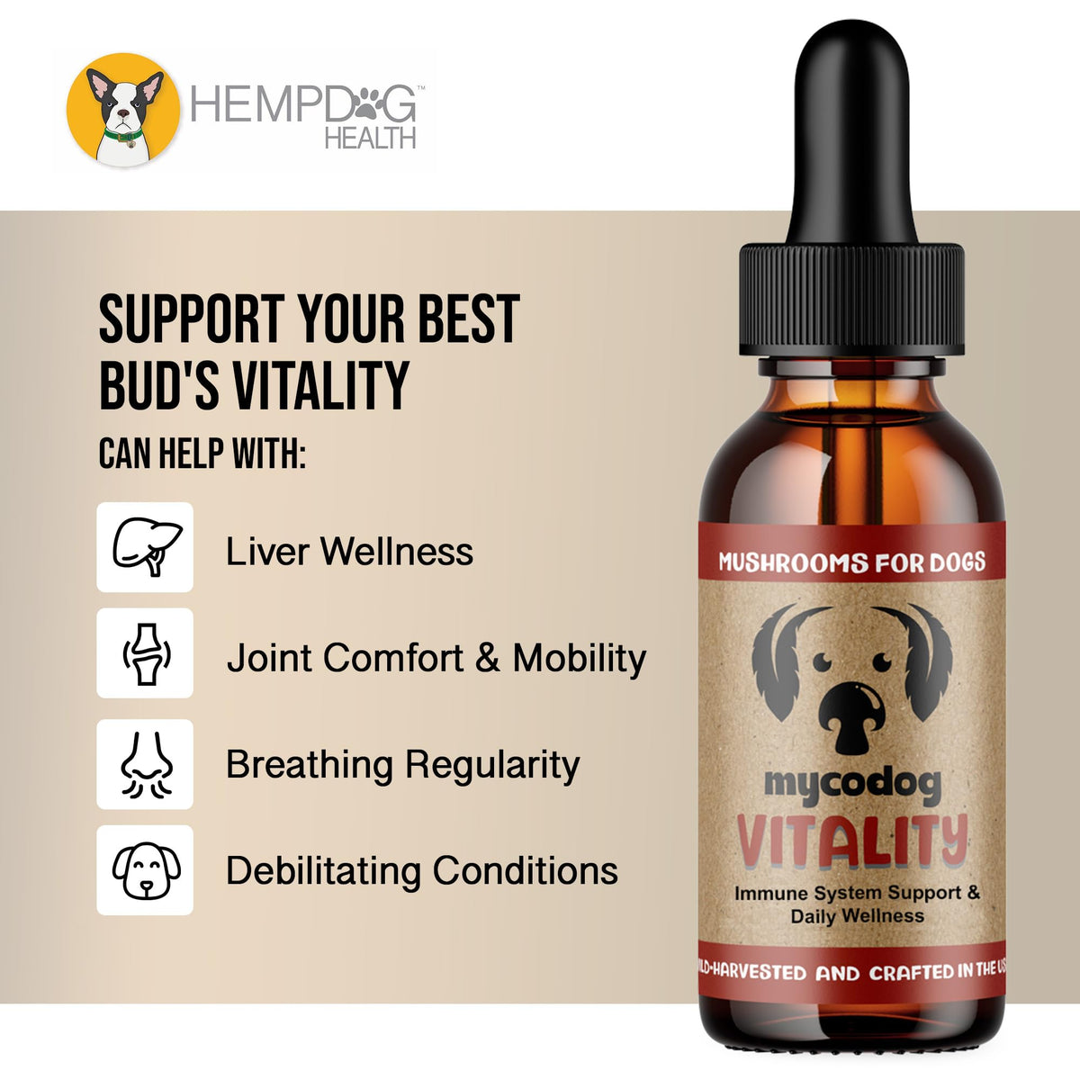 Mushroom Supplement for Dogs P2819