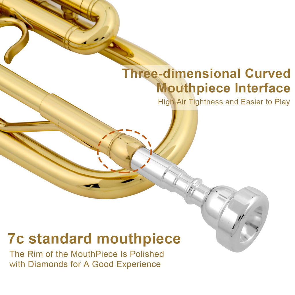 Bb Standard Trumpet Set E1916