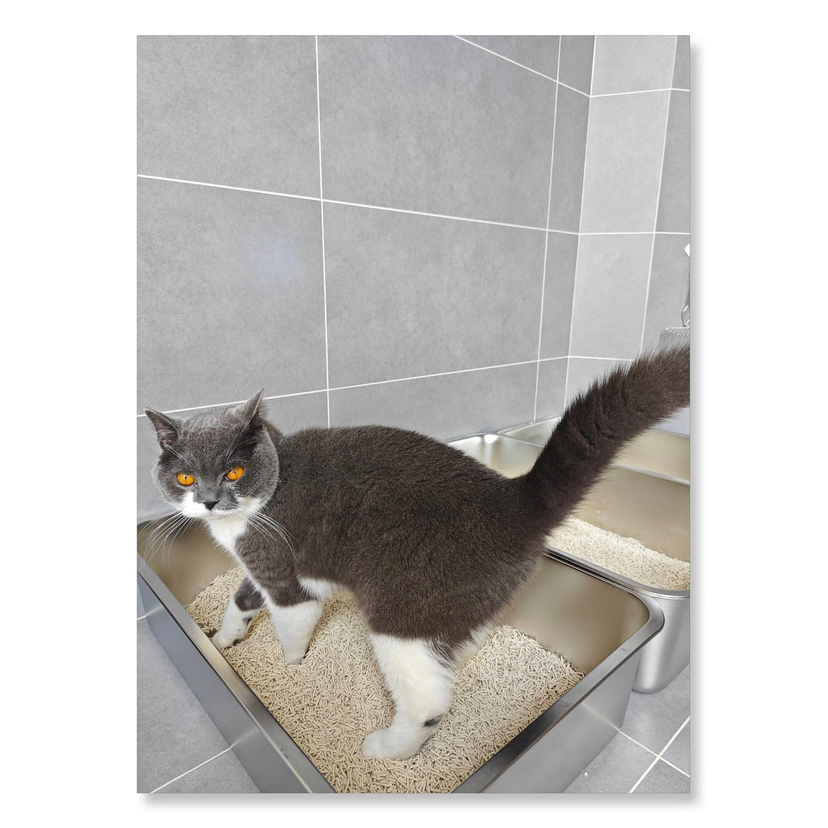 Stainless Steel Small Cat Litter Box L156259