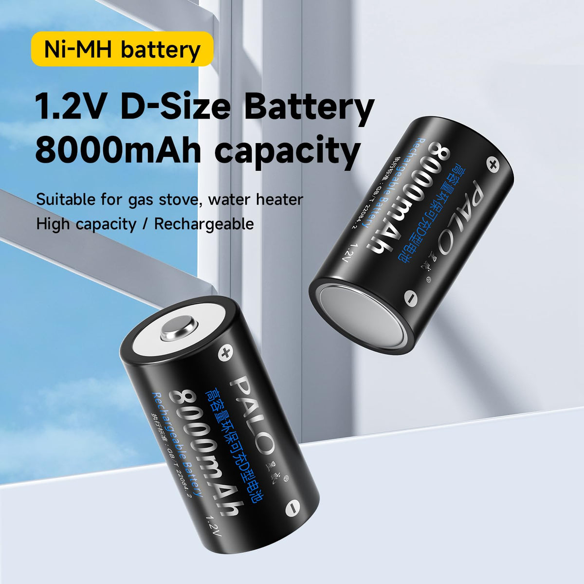 Rechargeable D Batteries with Charger C913