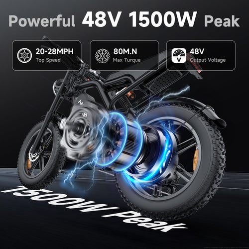 1500W Fat Tire Electric Bike B62860