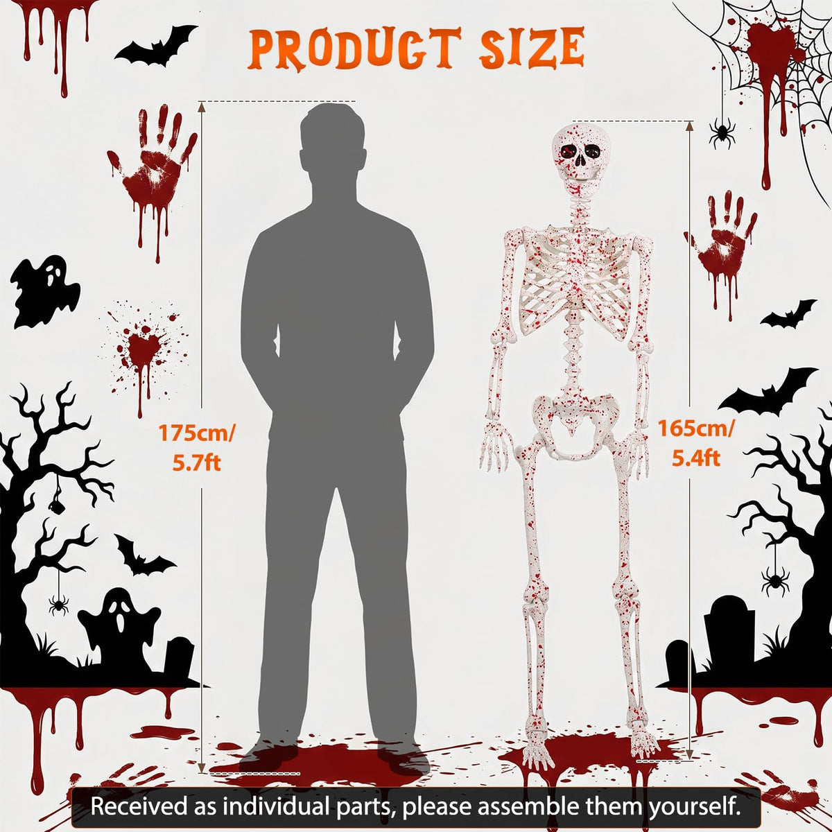 Life Size Posable Skeleton U357718