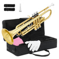 Bb Standard Trumpet Set E1916