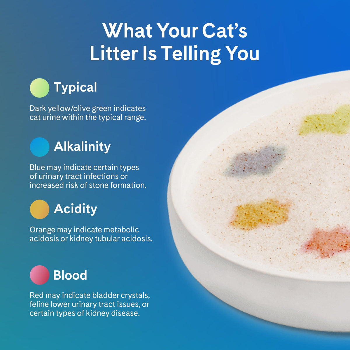 Unscented 6 lb. 2-Pack Cat Litter Z850345