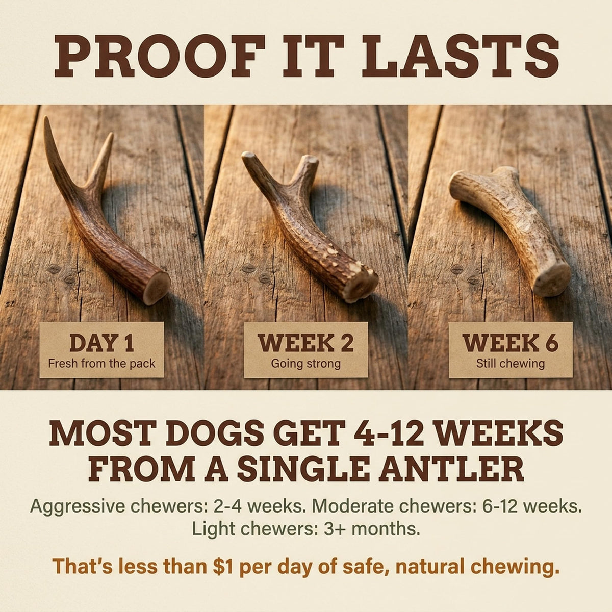Deer Antler Dog Chew XL 8-10 in T223308