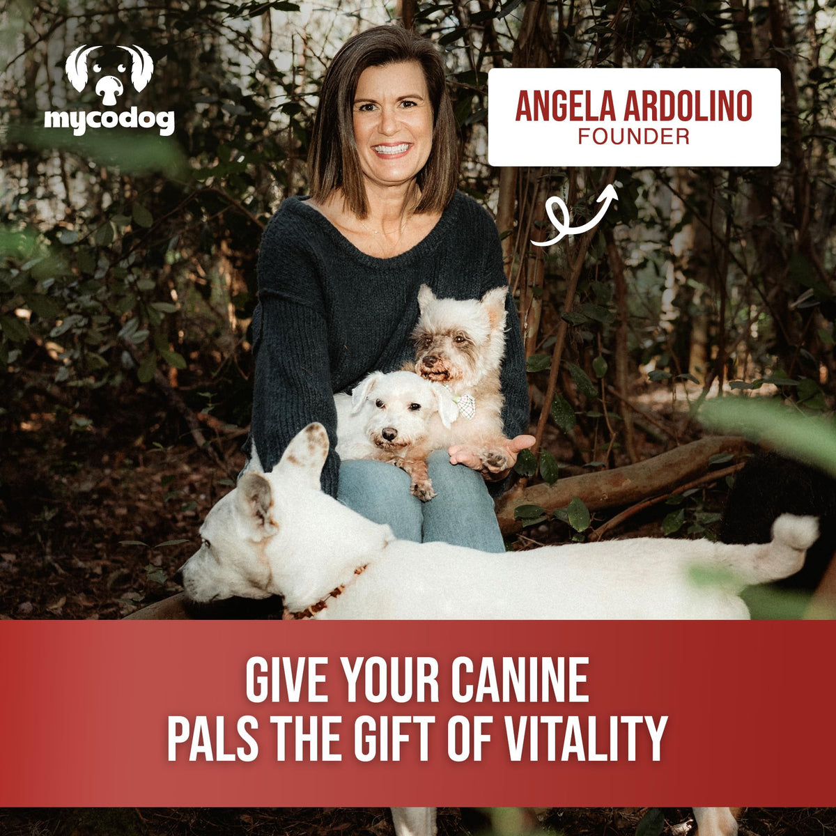 Mushroom Supplement for Dogs P2819