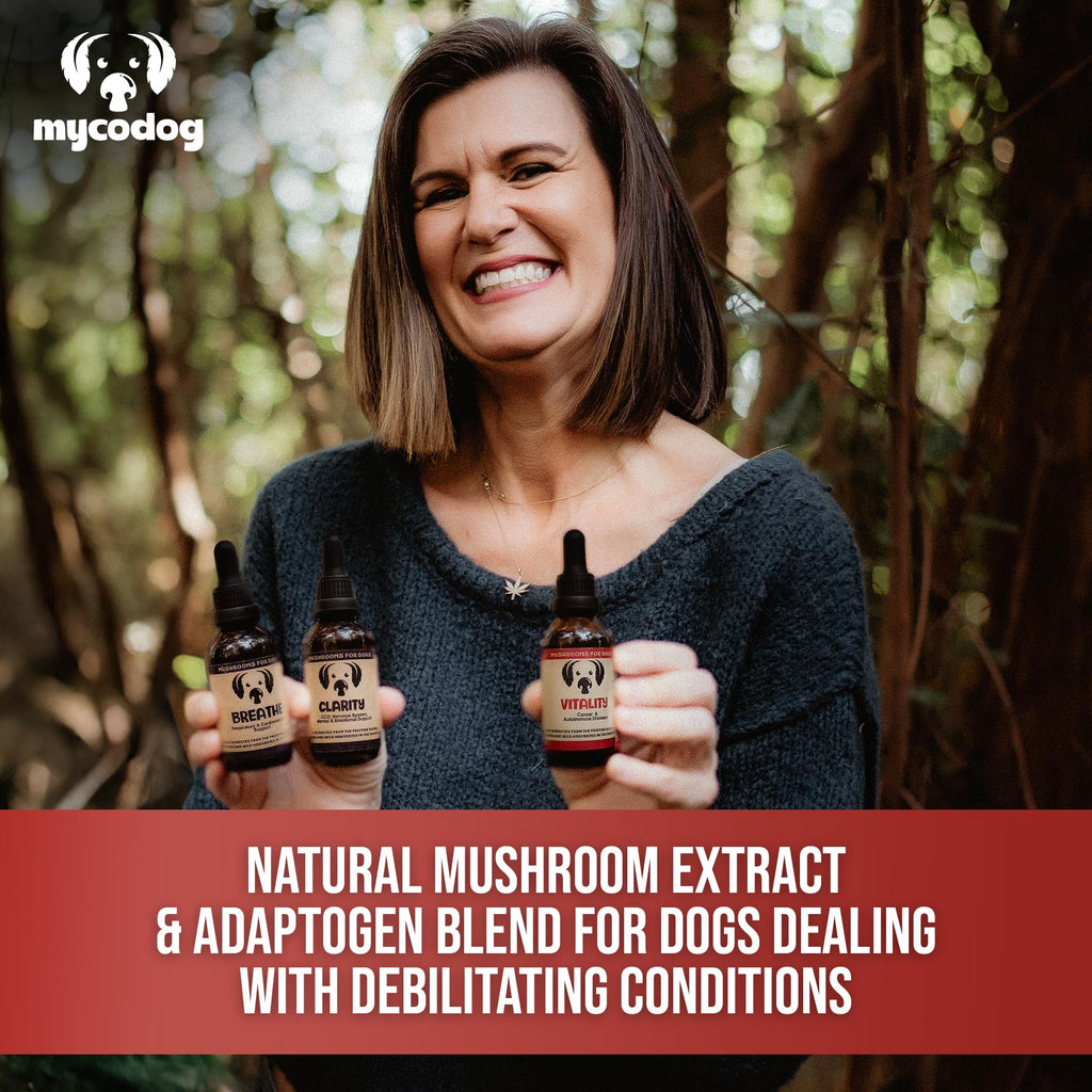 Mushroom Supplement for Dogs P2819