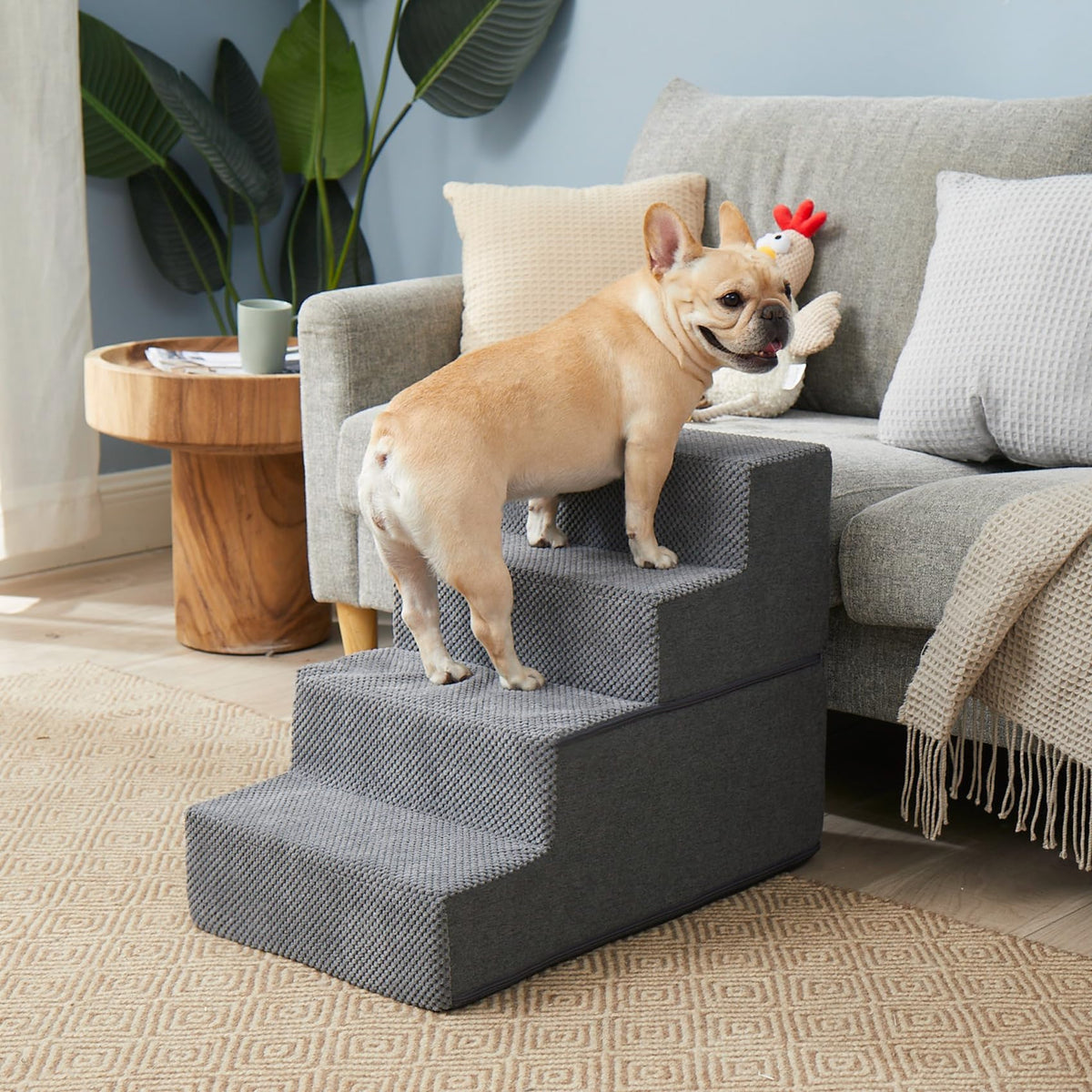 4-Step Grey Dog Stairs X657