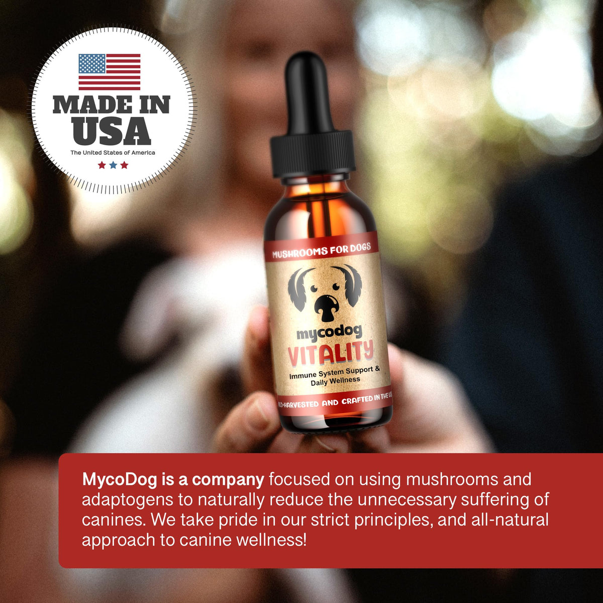 Mushroom Supplement for Dogs P2819