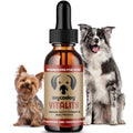 Mushroom Supplement for Dogs P2819