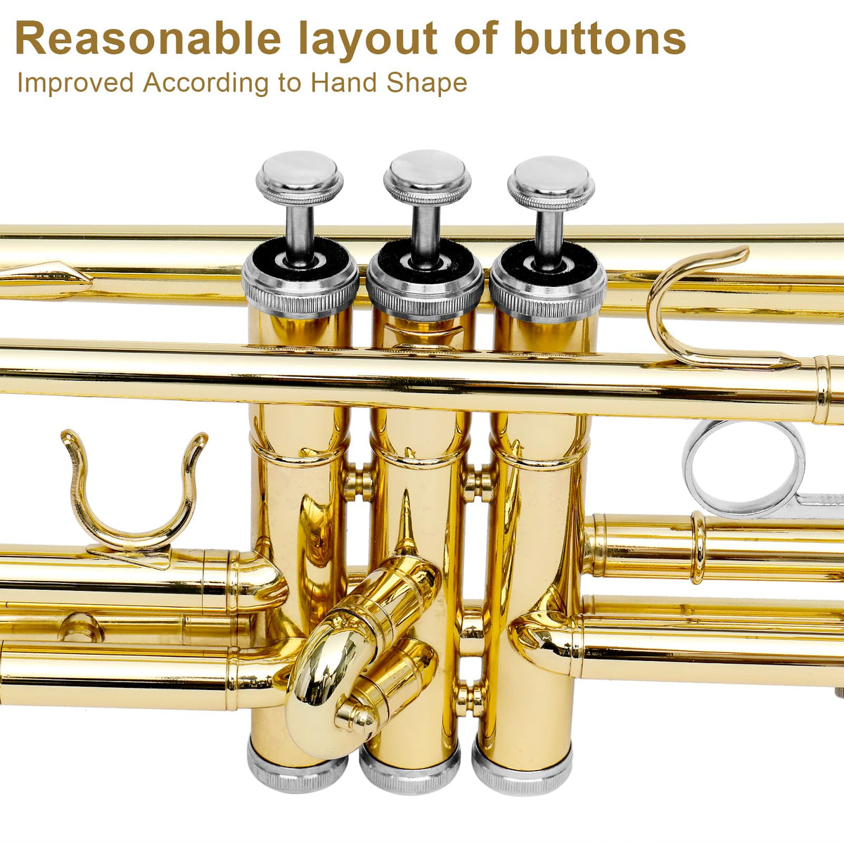 Bb Standard Trumpet Set E1916