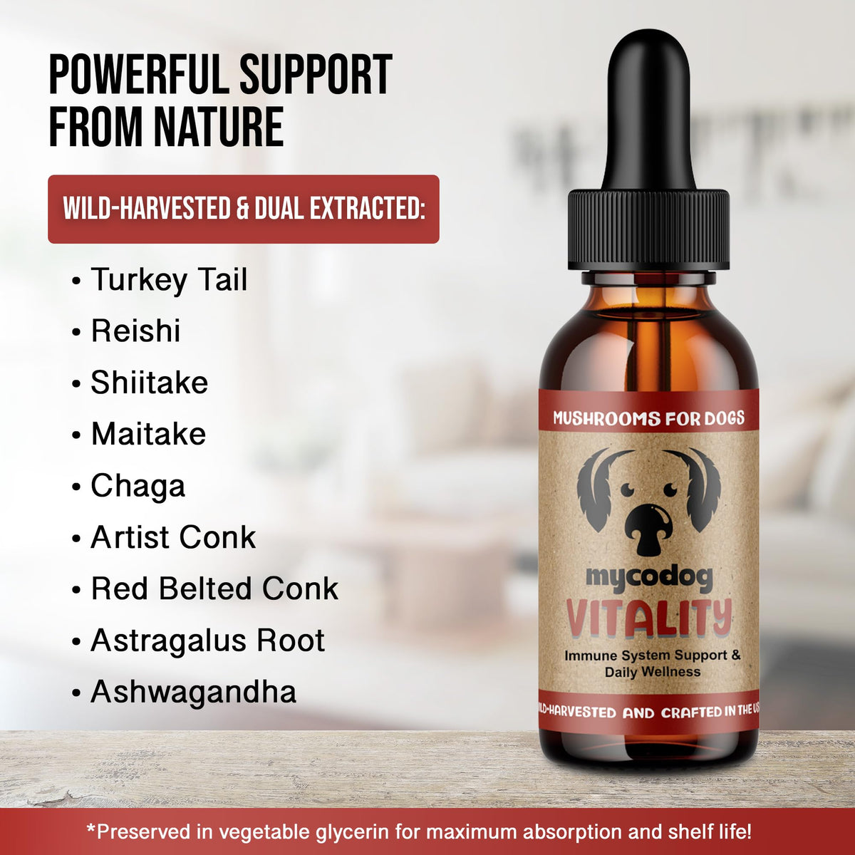 Mushroom Supplement for Dogs P2819