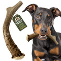 Deer Antler Dog Chew XL 8-10 in T223308
